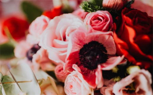 2025兔年十月份宜领证的黄道日子 领证最佳日子