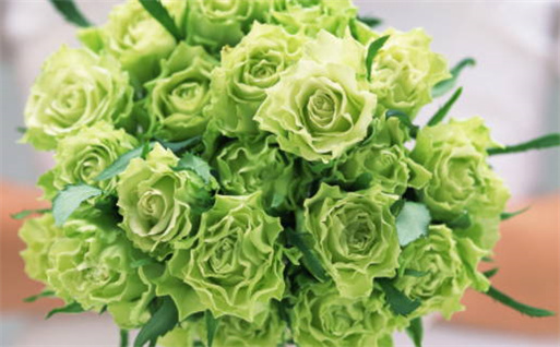 2025兔年10月份适合领证的好日子 本月宜领证吉日