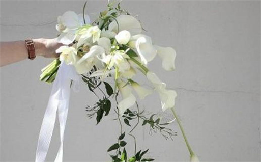 2025兔年八月哪几天是领证黄道吉日 登记上等佳日