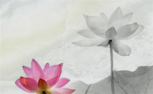 2025兔年5月开张黄道吉日查询 最旺开业吉日一览表