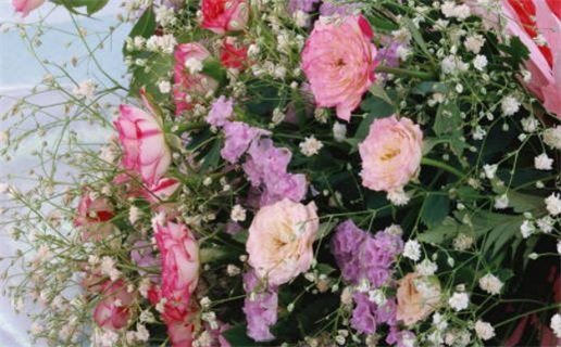 2025癸卯年生肖牛全年登记领证吉利日期 今年黄道吉日查询