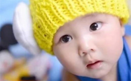 2025年杨姓新生儿女孩取名 属龙杨姓女孩名字大全 2025年杨姓新生儿女孩取名 属龙杨姓女孩名字大全