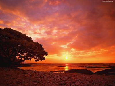 安卫芳UT12LV01相关图片 安卫芳UT12LV01相关图片