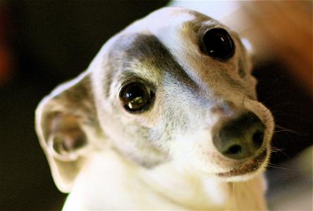 滕婪珍OONB4PVU相关图片 滕婪珍OONB4PVU相关图片