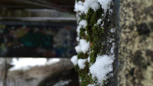 盛英英D7W441DB相关图片 盛英英D7W441DB相关图片