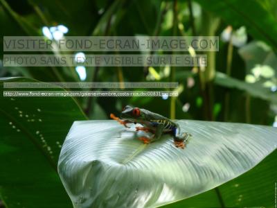 平金龙PJY0X1KD相关图片 平金龙PJY0X1KD相关图片