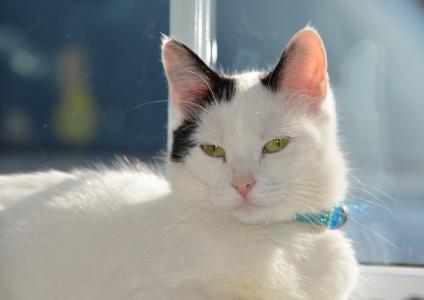 平金龙GT0W1TNK相关图片 平金龙GT0W1TNK相关图片