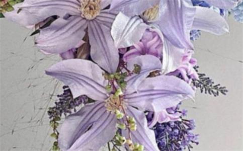 2025龙年公历3月订婚最好的日子 宜订婚吉日查询