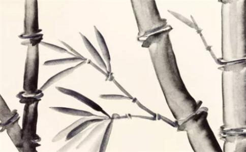 2025癸卯年生肖猪全年最吉利的装修新房的日子 上等装潢佳期