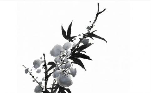 2025兔年农历九月最吉利的提车日子 黄道吉日一览表