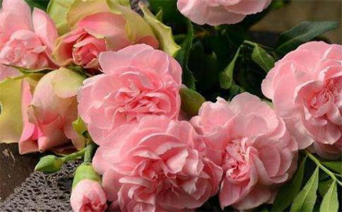 2025兔年公历12月最适合领证的好日子 宜办喜事良机