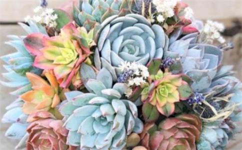 2025龙年嫁娶吉日一览表结婚黄历 2025年嫁娶黄道吉日