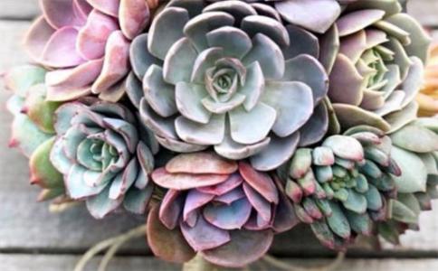 2025兔年阴历八月婚嫁最佳日期 宜办婚礼好日子